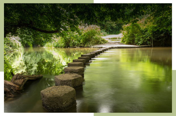 From Insight to Development